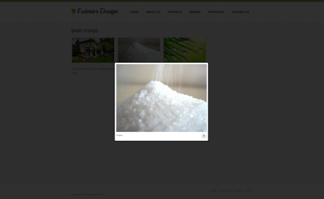 NutriLeb Website_01
